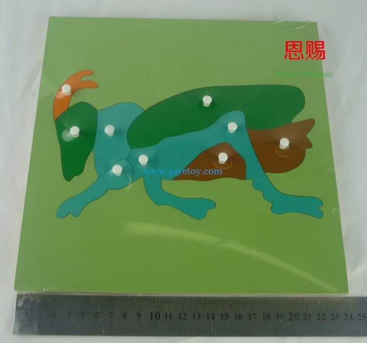 7032 locust puzzle (4)