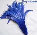 Royalblue