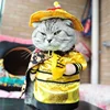 Cat Emperor Clothing