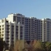 Skyscrapers in a city  Lake Eola  Orlando  Orange County  Florida  USA Poster Print (18 x 6)