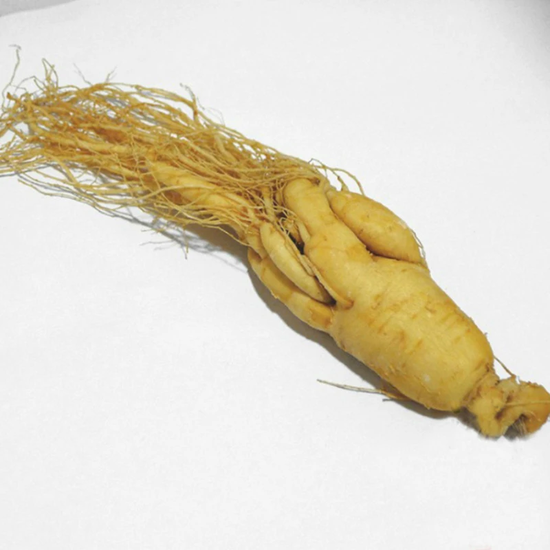 200g Wild Natural Fresh Ginseng Root Chinese Medicine Herbal Tea