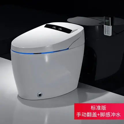 

Intelligent Toilet Electric Instant Heating Full Automatic Remote Control Seat Convenience Unit No Water Tank Household