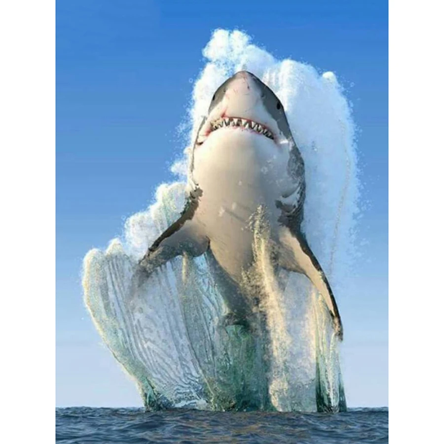 HTB1Mg03a5DxK1RjSsphq6zHrpXal