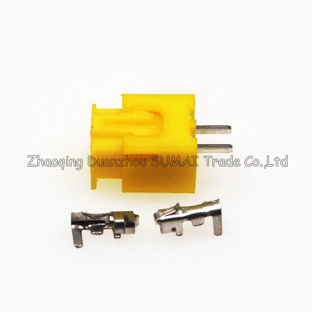 P1010053_