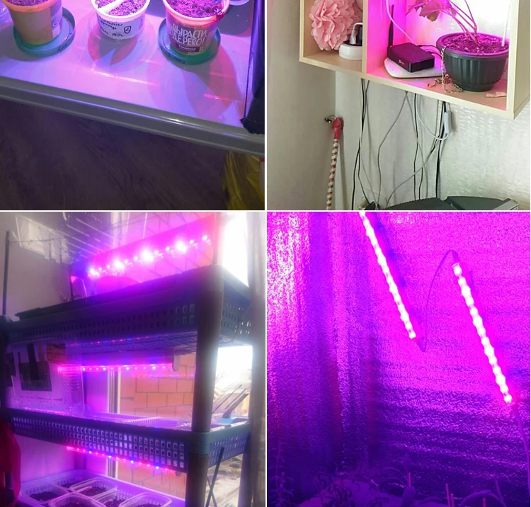 T5 светодиодный grow светильник Крытый светодиодные лампы для растений 660nm+ 455nm 18 шт. высокий эффективный диод ЕС Подключите кабель переменного тока с помощью переключателя input 85-265V 50/60Hz