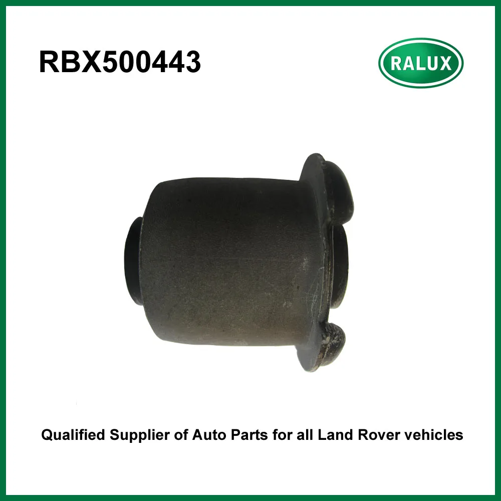 RBX500443 -logo 