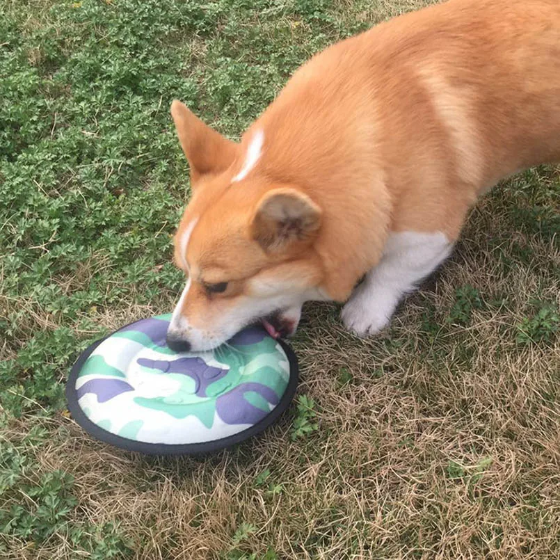 2018 جديد الإبداع تصميم جرو الكلب تحلق أقراص الحيوانات الأليفة اللعب مضحك لعب أدوات الكلب القط لعبة أدوات اكسسوارات 3 ألوان 10A