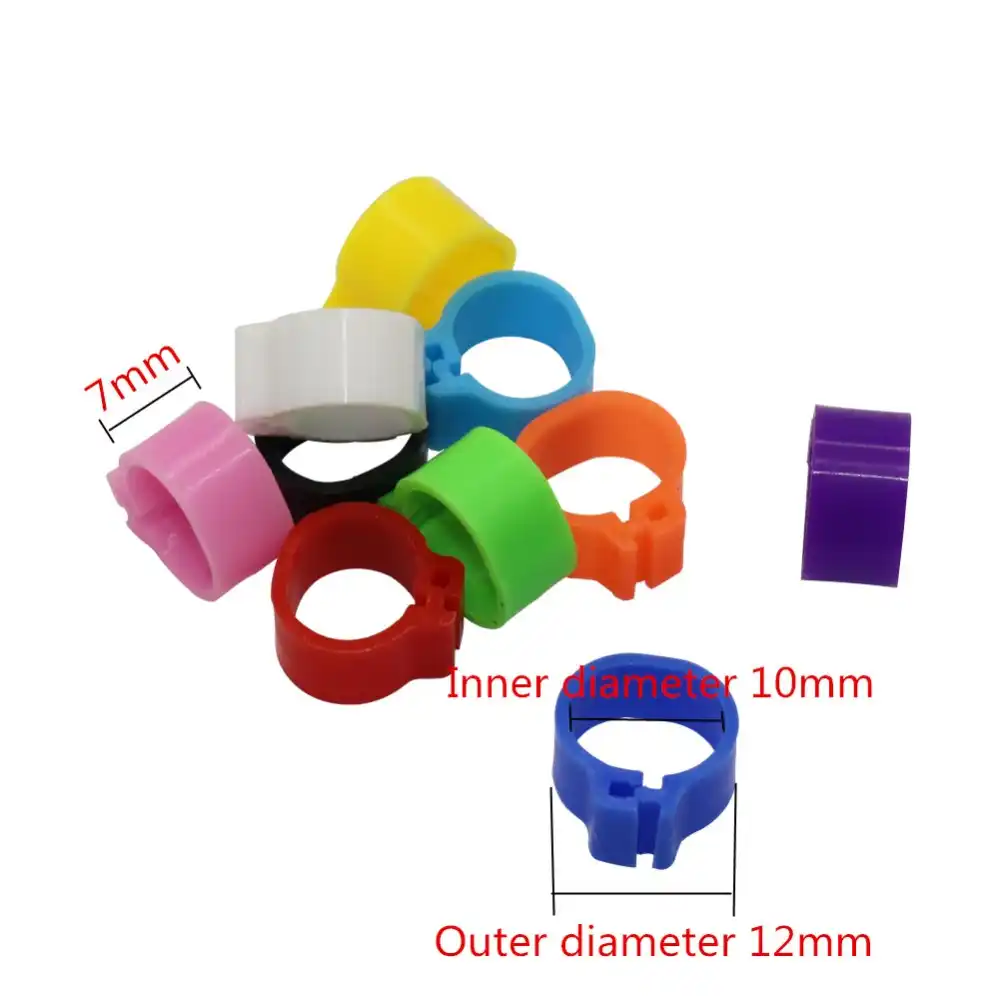 nbvmngjhjlkjlUK 100 Pezzi piccioni Anelli 8 mm Anello di identificazione a baionetta Apertura Anello Piccione Colore Anello Piede Piede Piccione Forniture Colore Casuale
