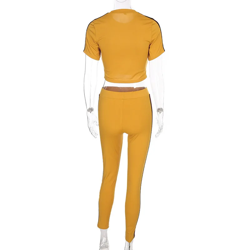 8669852955_503182143