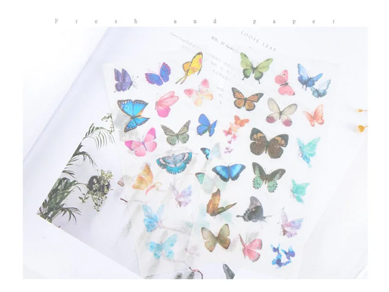 HTB1H0UKqeySBuNjy1zdq6xPxFXaW