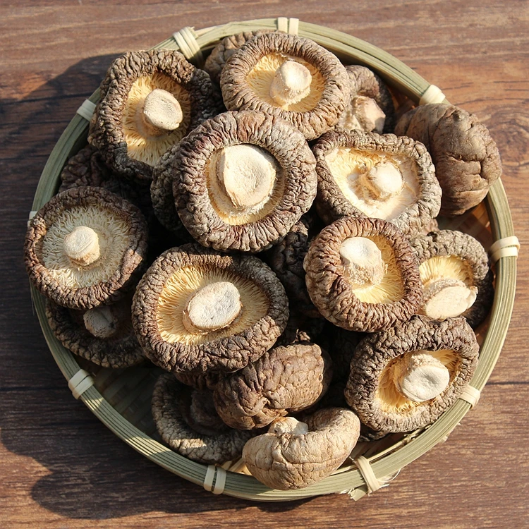 Online Buy Wholesale dried mushrooms from China dried mushrooms