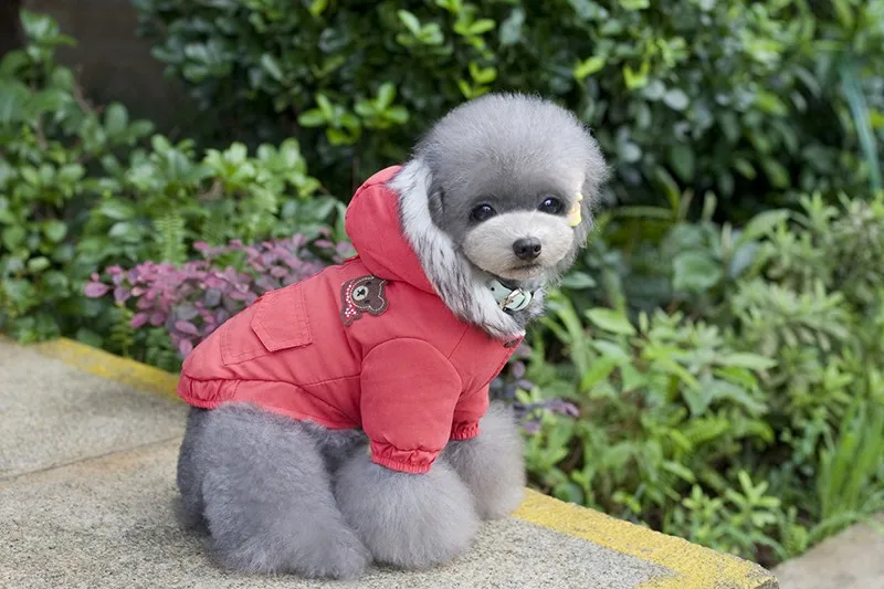 Теплая Зима Мягкая Собака Одежда Сгущаться Хлопок Проложенный щенок Pet Пальто Куртки для маленький средний собаки чихуахуа Йоркширский S-2XL