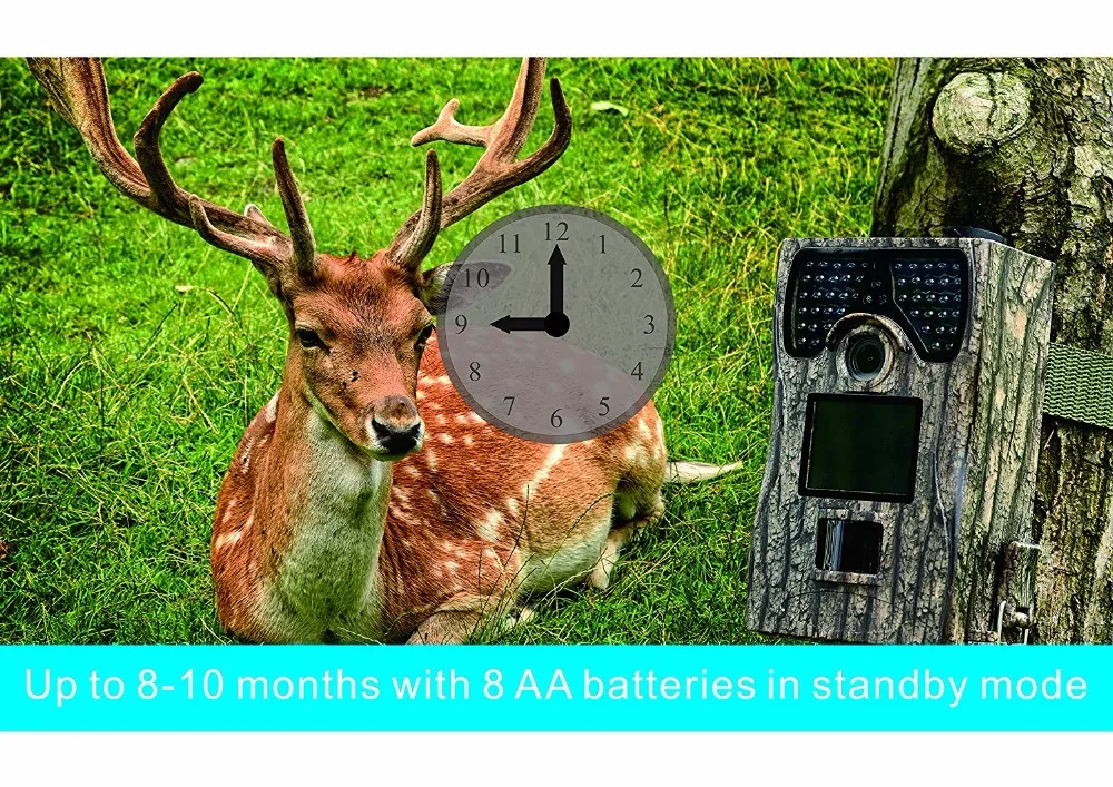 Hunting camera HD 12MP 1080P Hunting Trail Camera Animal Photos Trap 48pcs IR LEDs Night Vision Scouting Wildlife Game Cameras (26)