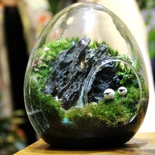 Свадебное украшение мох микро экологический ландшафт бутылка мясистое растение пейзаж стеклянная ваза DIY в форме яйца микро украшение для дома