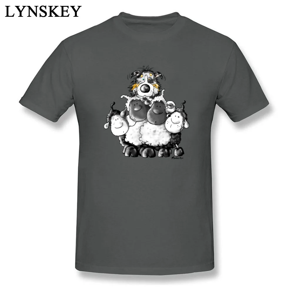 Australian Shepherd and sheep - Dog_carbon