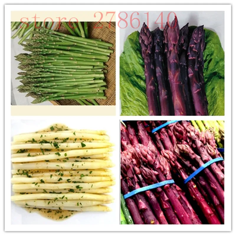 Asparagus Officinalis bonsai один из лучших в мире десять блюд самый здоровый вкусный питательный овощей 50 шт