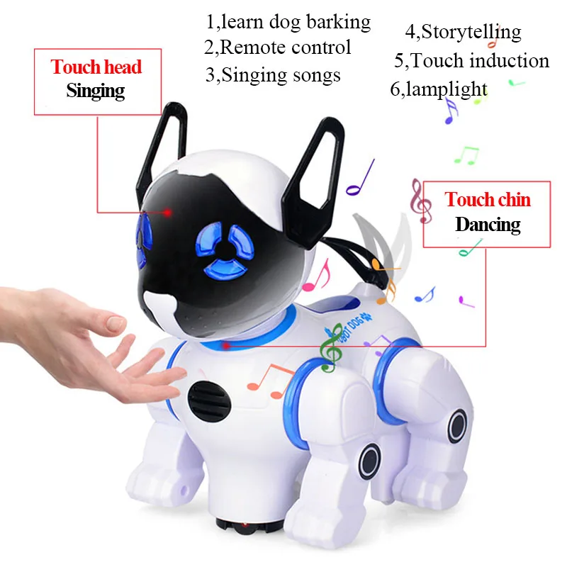 dog remote toy