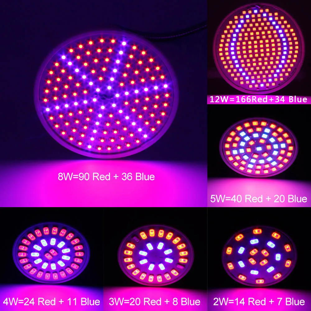 60 126 200 12 Вт светодиодный Grow Light клип Фито E27 2835 5730 SMD лампы для растений-цветочниц на свадьбе, для гидропоники системы Крытый садовый парник