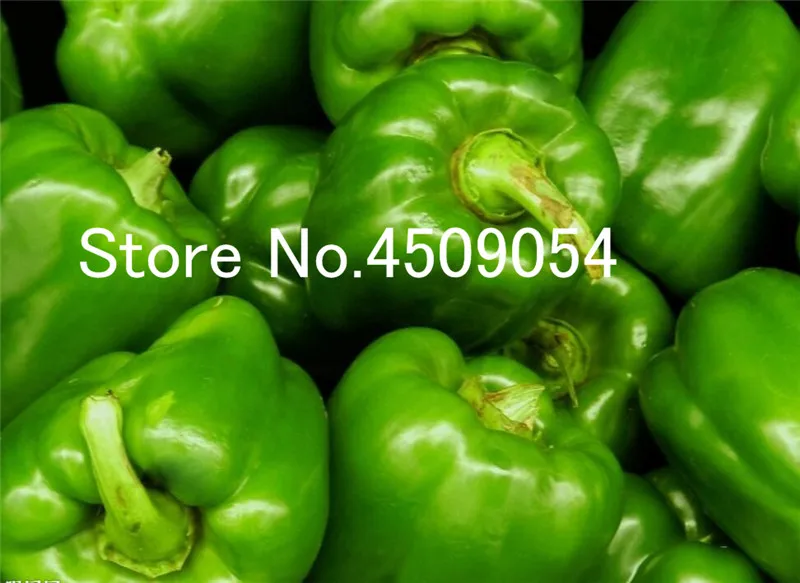 100 pcs Hot Chili Seedsplants Carolina Reaper Organic Bonsai Vegetable Rainbow Bell Ghost Pepper Bonsai Home Garden Easy Grow