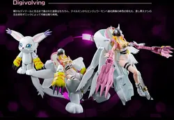 Оригинальный Японии аниме приключения Tamashii Наций Digivolving духов 04 фигурку-Tailmon Angewomon