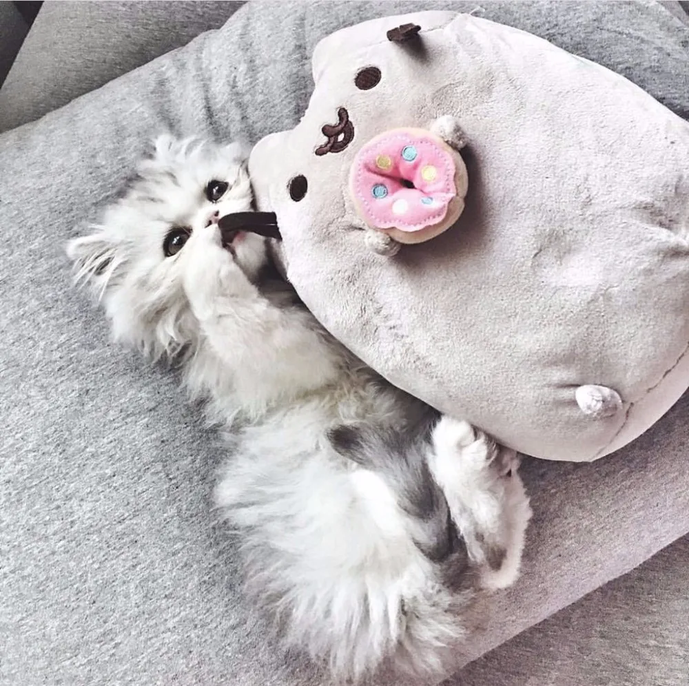 

15-25CM Super Sweet Cat Plush Dummy Animation Cartoon Student Dormitory Pillow Puppet Girl's Birthday Gift