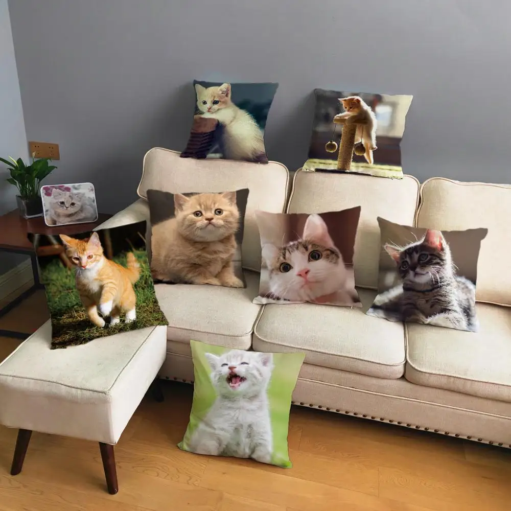 

Cute Persian Catl Throw Pillowcase Print Pillow Case 45*45cm Decor Lovely Animal Plush Square Cushion Cover for Sofa Home Car