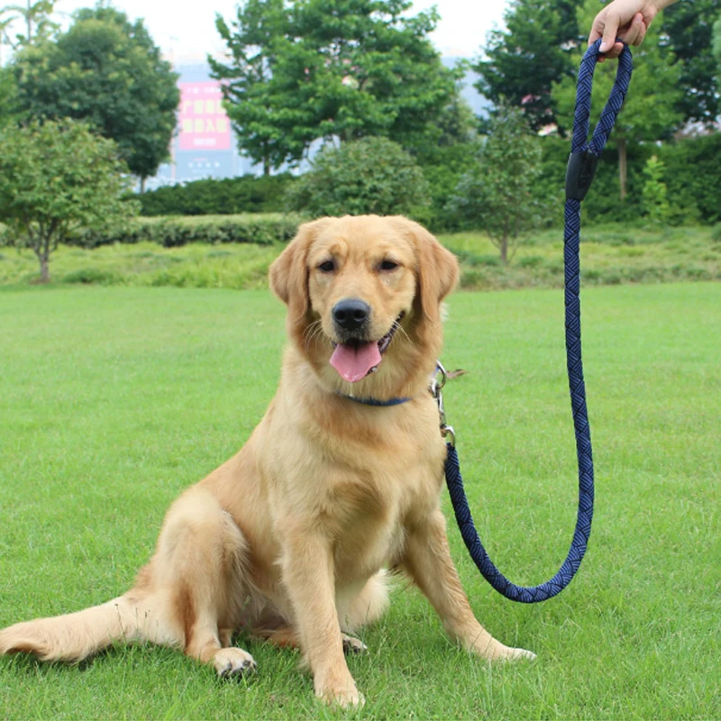 

Nylon Pet Dog Leashes Traction Rope collar durable dog leash harness Nylon Adjustable pet collar for large dogs gifts AYOUA