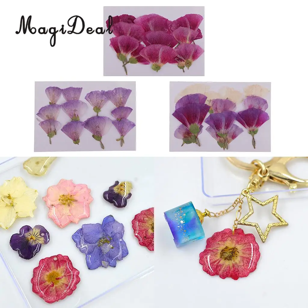 12pcs Beautiful Godetia Real Pressed Natural Dried Flowers for Art Craft Scrapbooking Card Making Resin Jewelry Making Craft DIY
