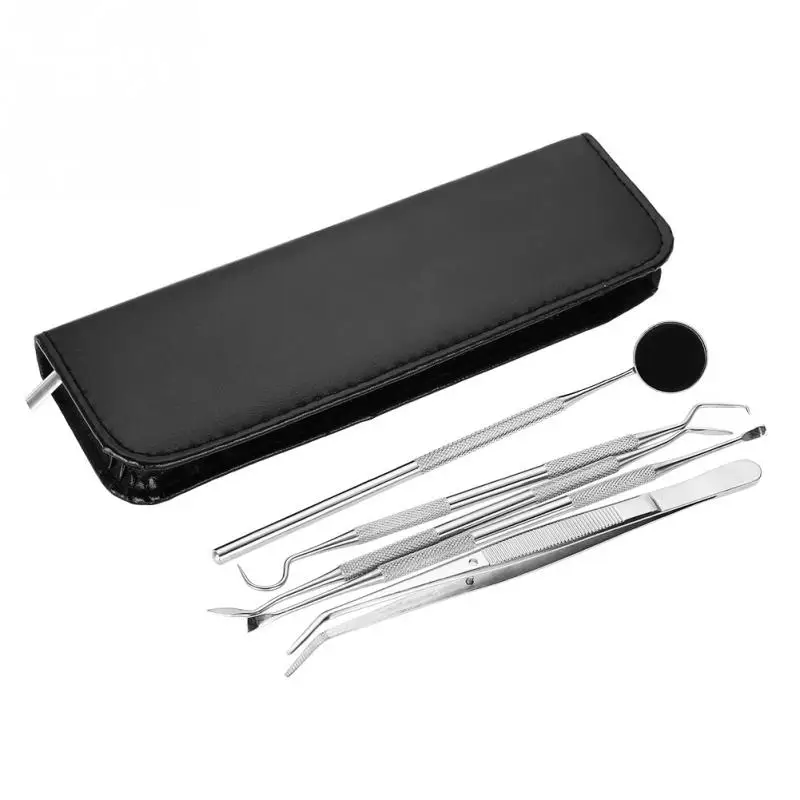 Buy 5Pcs Set Stainless Steel Dental Examination Tools