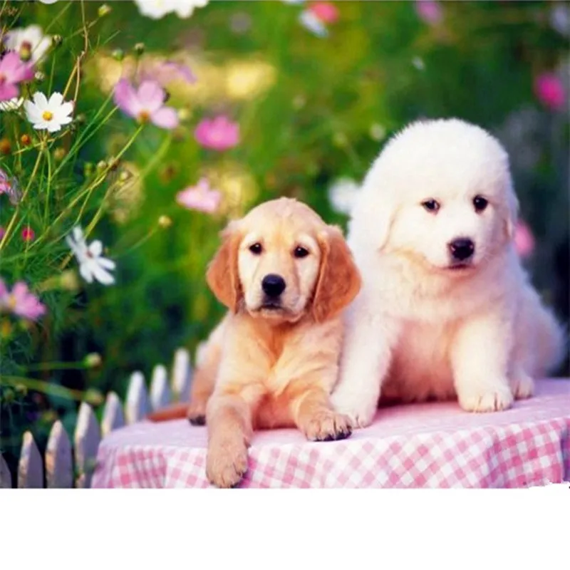 5d Diamond Mosaic Handmade Painting Cross Stitch Embroidery Cute Dogs Animals Patterns Rhinestones Arts |