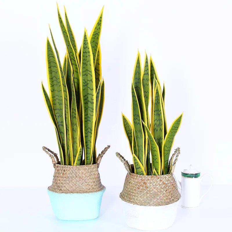 70 см цветок+ ваза Sansevieria trifasciata бонсай Тропическое растение высокое качество чувство руки зеленый суккуленты подарок украшение дома