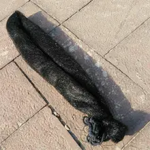 Охотничья птица сетка ловля птицы сетка Tird сетка Анти Птица нейлоновая сетка 1,5 см абсолютно новая Охотничья птица сетка ловля птицы сетка Tird сетка Анти Птица нейлоновая сетка 1,5 см абсолютно новая