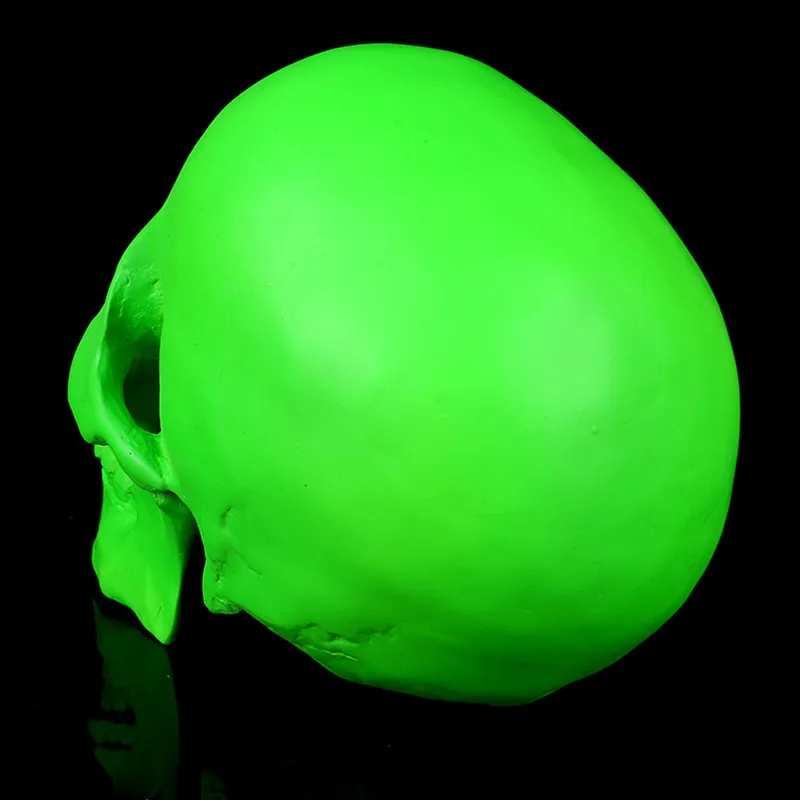 3048020624_509990420