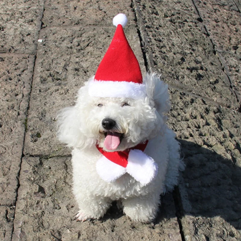 Кошка Собака Санта шляпа+ шарф Рождество красный праздничный костюм одежда шапка с шейным воротником стиль Рождество Размер/М/Л