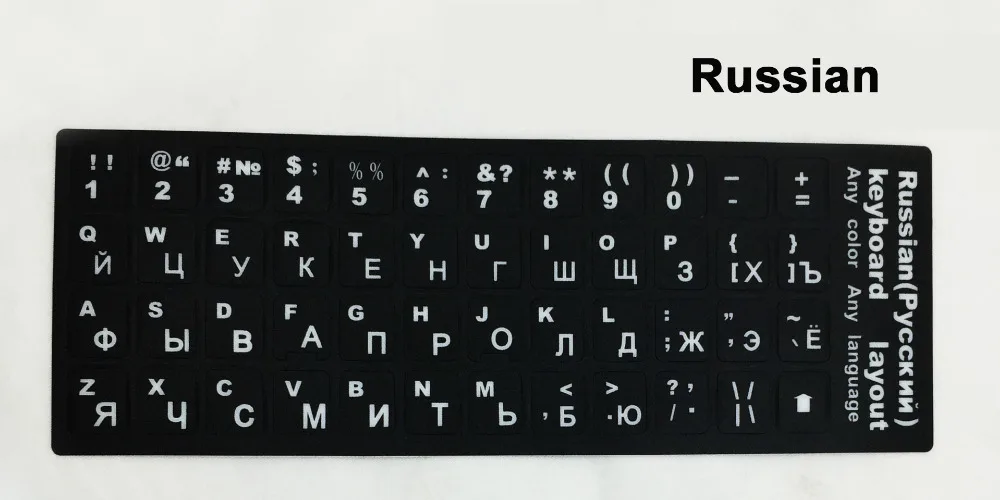 4511431774_2006850641