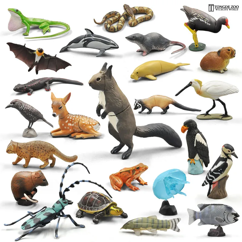 

Japan original bulks wild life animal mammal Reptile Macaque Guinea corgi big eared bat extinct collectible figures for children