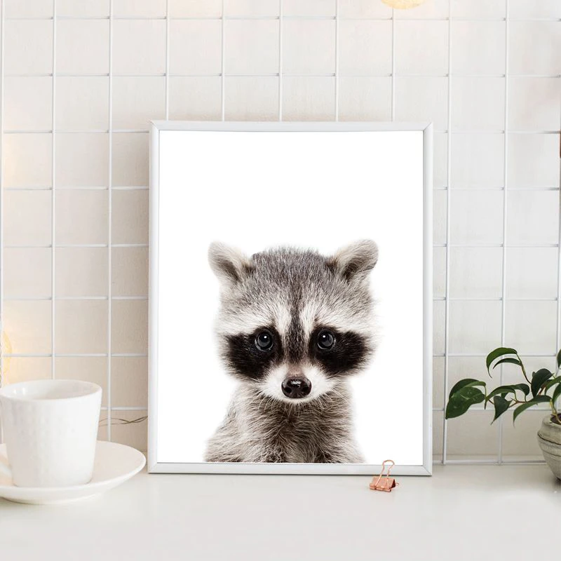 Woodland Animal Raccoon 1