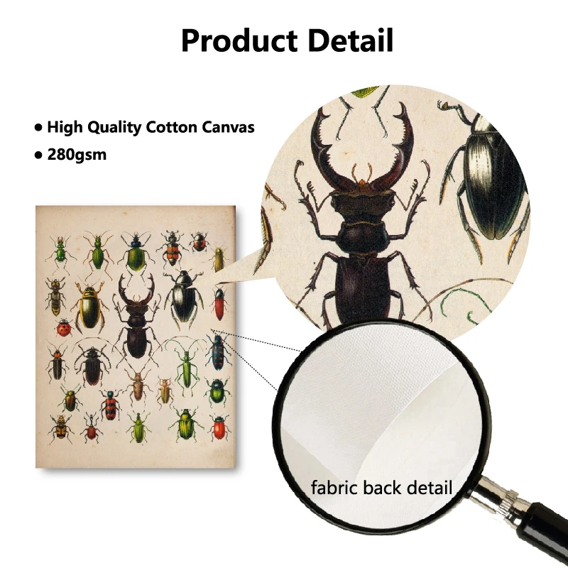 Beetle Collection Vintage Poster Prints Detail Picture