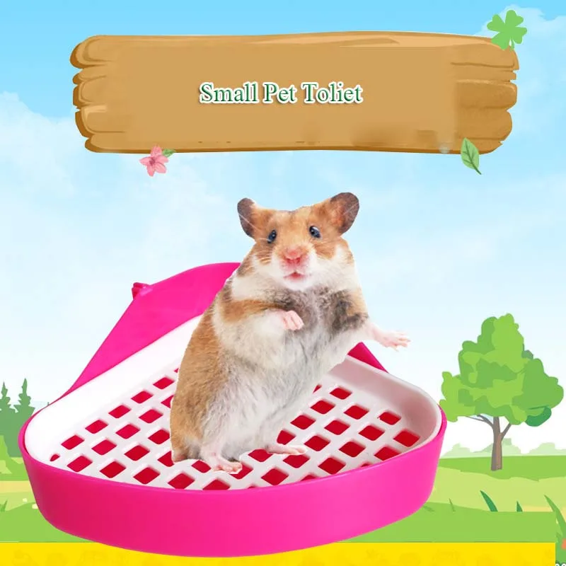 chinchilla bath