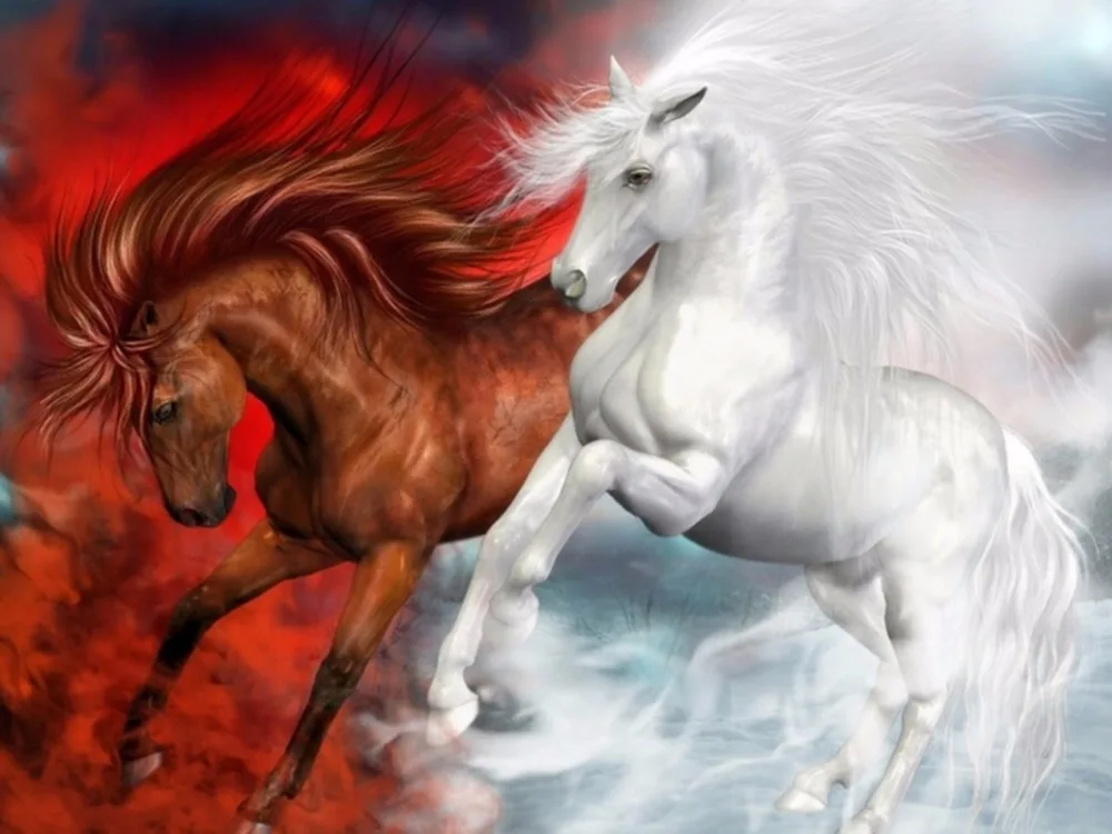 O-Galloping-24(60X45CM)