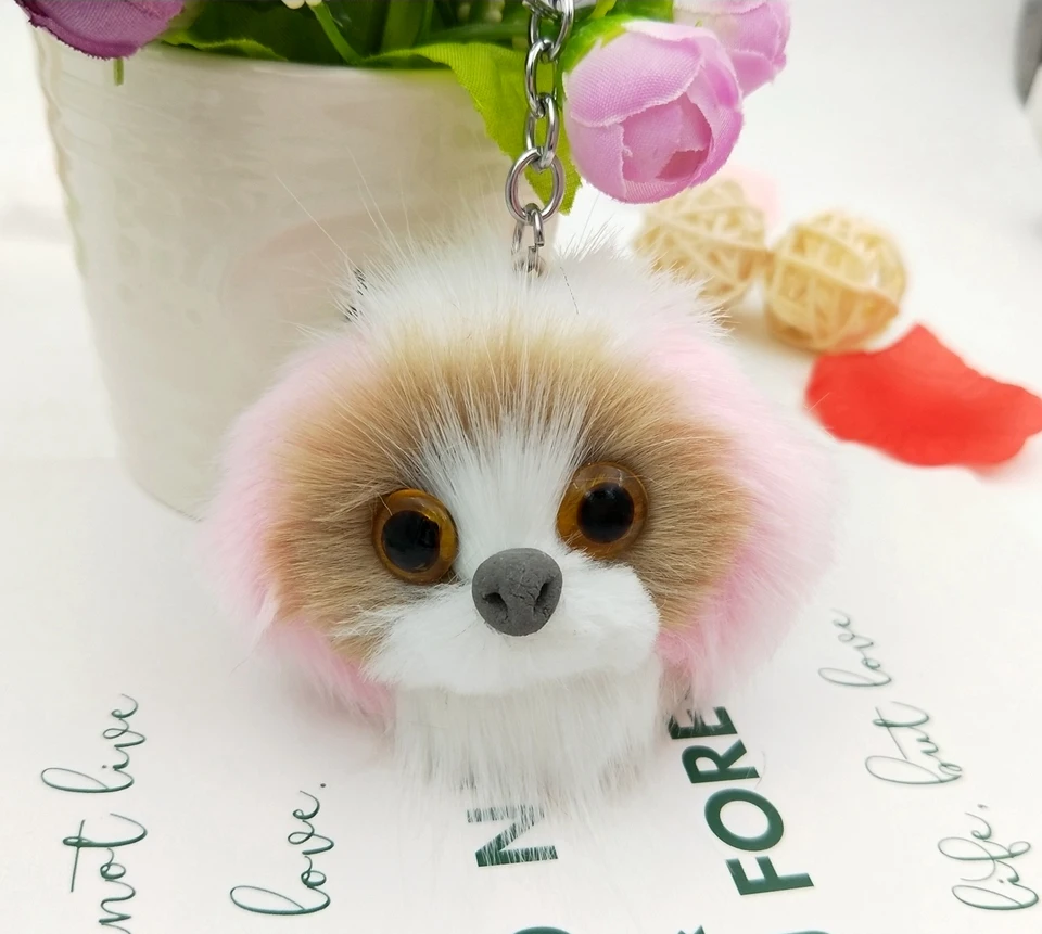 dog 5