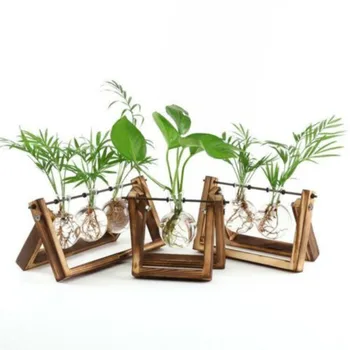 

Wooden Stand Glass Flower Vase Hydroponic Terrarium Container Tabletop Decor