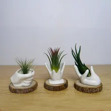 Белая керамическая полка для цветов, настольные украшения, цветочные горшки, кашпо, креативные руки, поза, горшки, деревянная подкладка