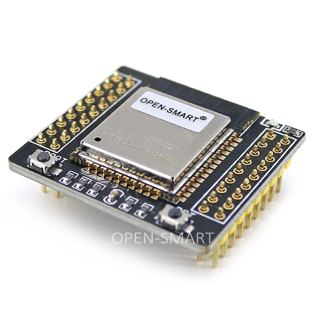 ESP-32F +  3