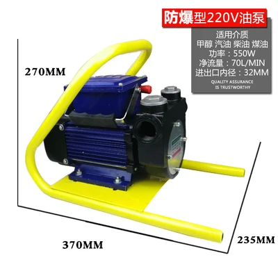 Электрический насосный насос 12В 24В 220В бензиновый дизельный топливный насос автомобильный взрывозащищенный масляный насос портативный насосный блок - Цвет: Explosion-proof 220V