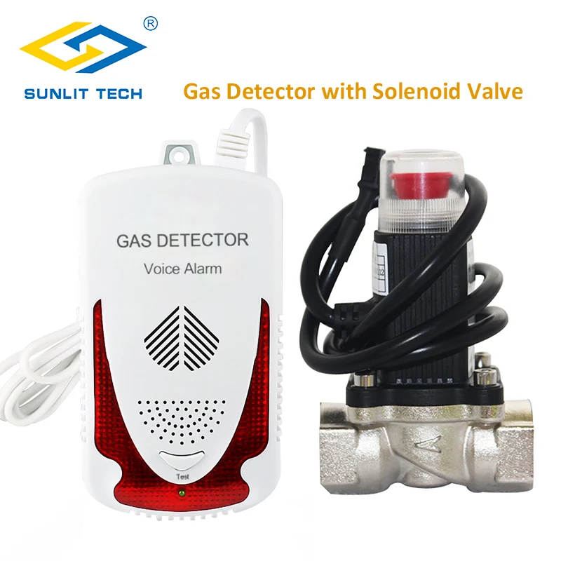 Gas Detector Household Combustible Gas Leak Detector Natural Gas Sensor LPG Alarm System with Solenoid Shut off Brass Valve DN20