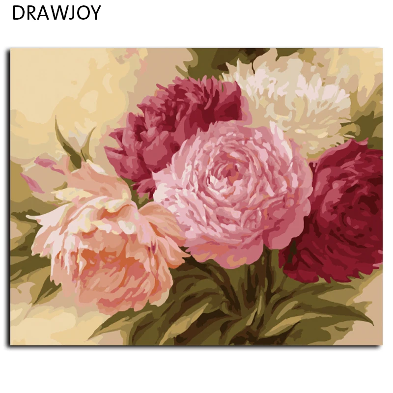 

DRAWJOY Frameless Wall Decor Pictures Diy Painting By Numbers Hand Painted On Canvas For Living Room Flower G429 40*50cm