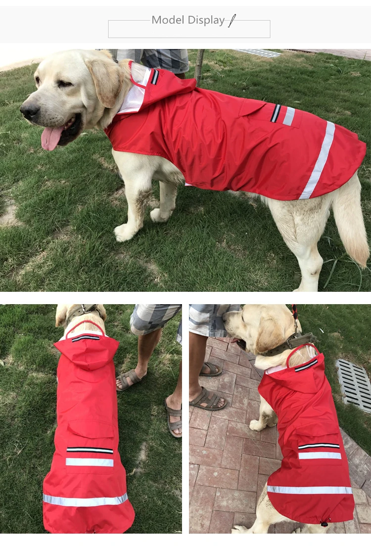 Dog Raincoat (1)