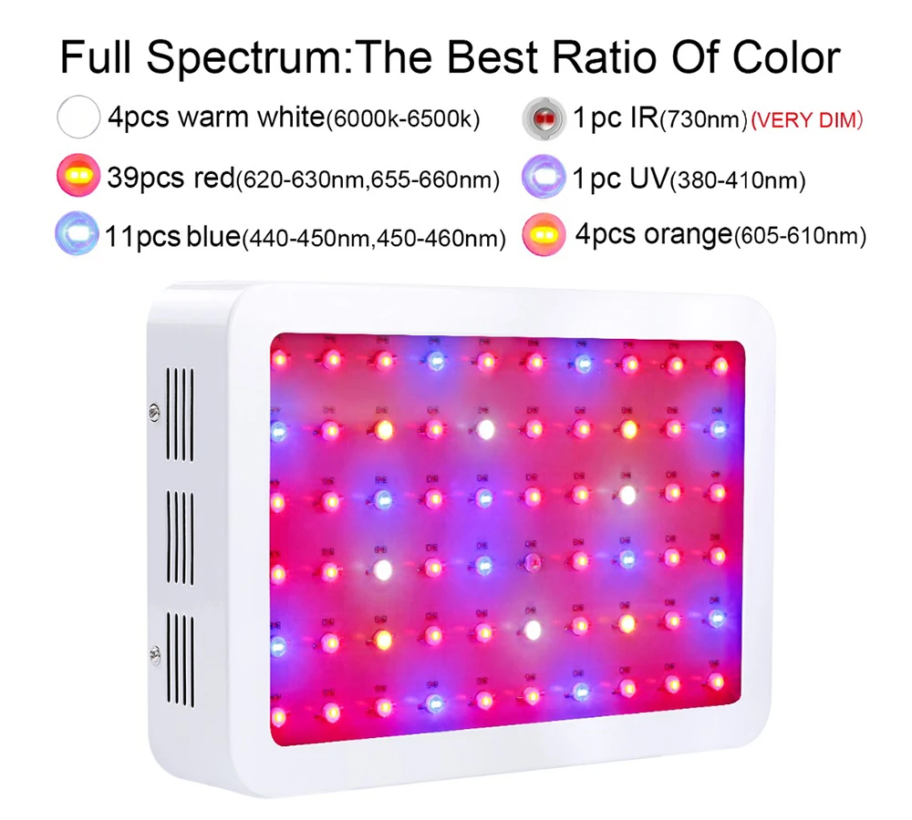 600w2