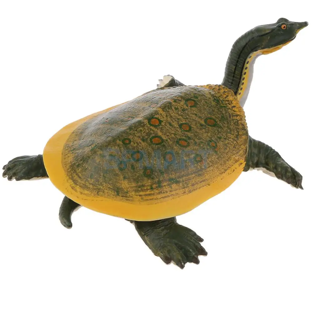 Animals Figure Toys Sea Soft-shelled turtle Animals Model Aquarium Toys Realistic Wild Pastic Figurine Animal Developmental Toy